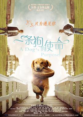 皮肤护理专家